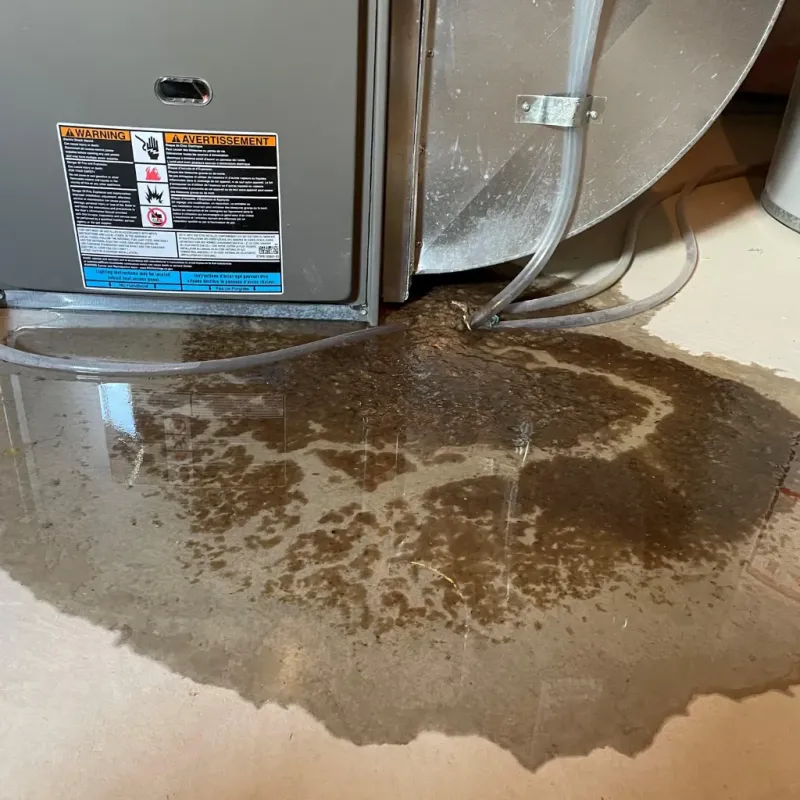 Appliance Leak Cleanup in Roanoke, VA